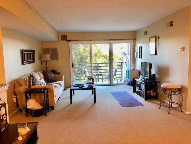 Living Room - 61 Mt Kemble Ave
