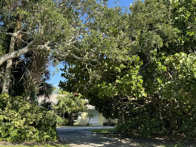 Building Photo - 1946 Surfside Terrace