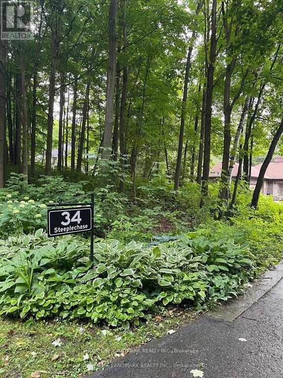 Primary Photo - 34 Steeplechase Ave