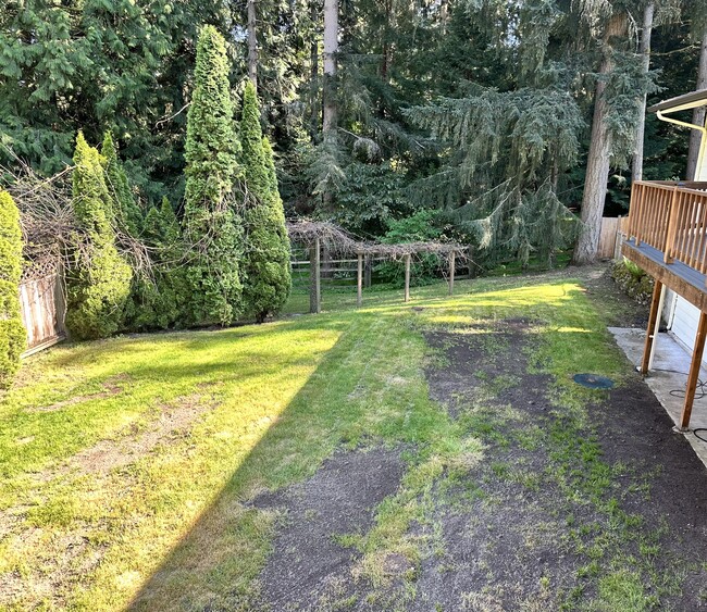 Backyard - 18234 120th Ave SE