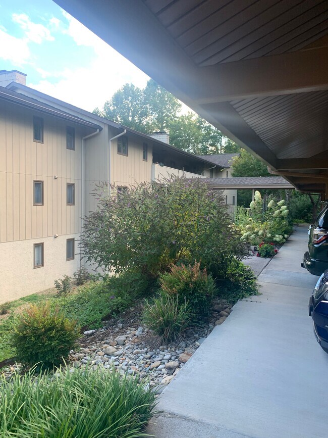 Foto del edificio - 224 Woodland Rd