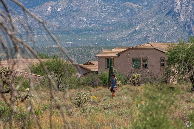 The Honeybee Archeological area is a place of quiet solitude in Rancho Vistoso.
