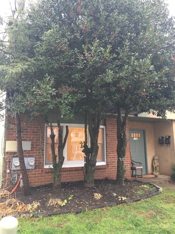 Frente exterior - 1115 Thomas Rd