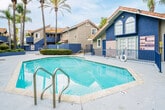 Located at 2800 Westminster Ave in Santa Ana, California, this outdoor common area serves as the central gathering space of a multi-story residential community. The focal point is a generously sized swimming pool with clear turquoise water, complemented by a separate spa and a wide concrete pool deck ideal for lounging and recreation. The pool area is enclosed by a blue iron security fence with gated access, ensuring safety and privacy for residents.

Towering palm trees and mature shade trees frame the space, lending a distinctly Southern Californian ambiance. The surrounding buildings feature a Mediterranean-inspired architectural style, characterized by terracotta tile rooftops, bold blue accent walls, stucco exteriors in neutral tones, and private balconies. A dedicated pool house structure with arched windows and a striking blue facade provides additional facilities for residents.

Lush greenery, manicured hedges, and ground-level plantings line the perimeter, adding texture and color throughout the courtyard. Ground-floor units feature private patio areas with outdoor seating, while upper-level balconies overlook the communal space. The overall atmosphere is relaxed and inviting, reflecting the casual outdoor lifestyle characteristic of Southern California living.