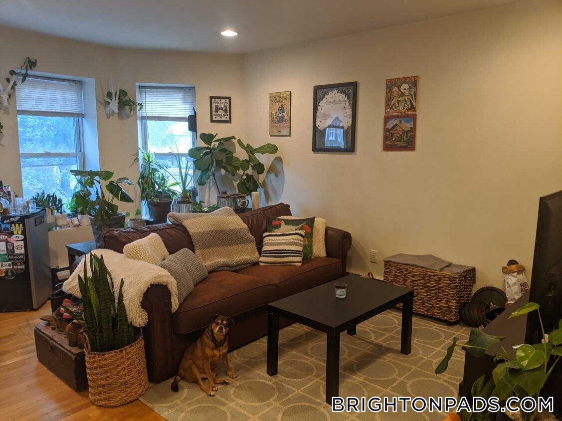 Foto principal - 199 Strathmore Rd