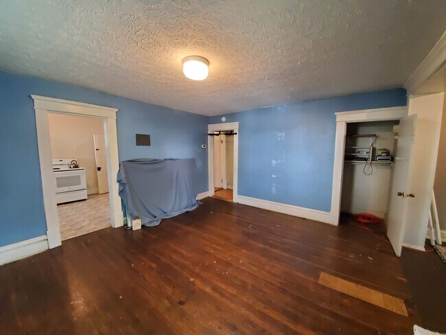 Living room looking towards kitchen to left and steps and bath at center door - 157 Clinton St