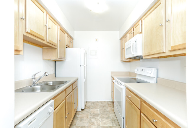 1 BR, 1 BA - 670 SF - Arbor Forest Apartments