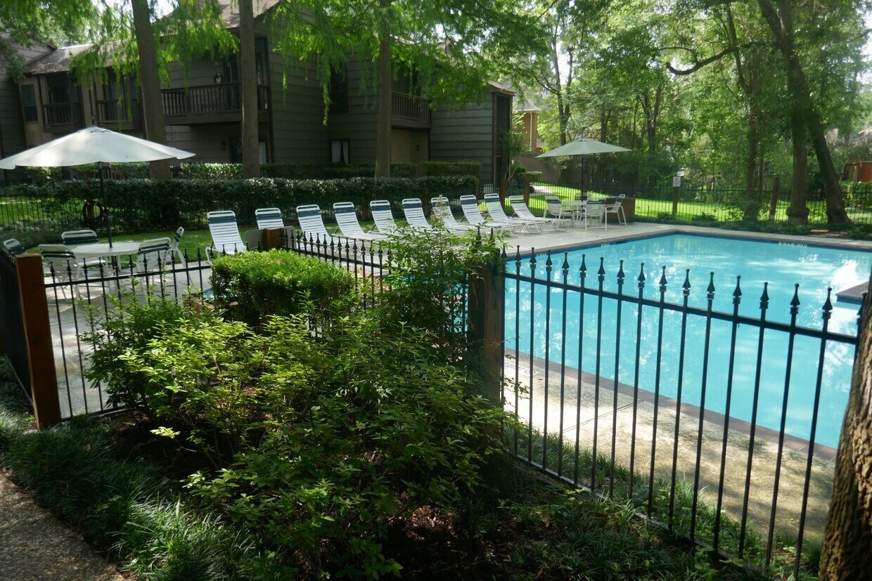 Primary Photo - 11711 Memorial Dr
