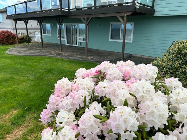 180 Coral Dr