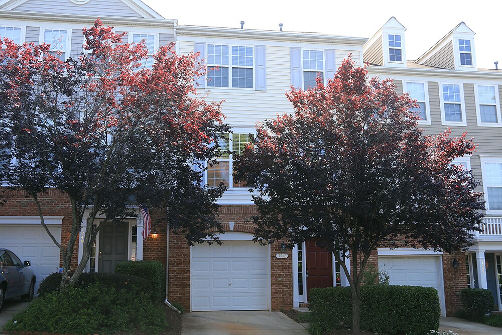 Primary Photo - Spacious Townhome in Amazing NW Raleigh Lo...