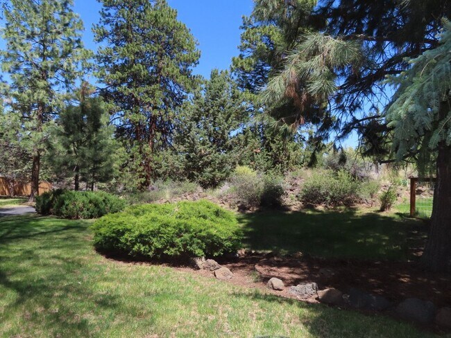 Building Photo - 3 br, 2 bath House - 20535 Woodside Court
