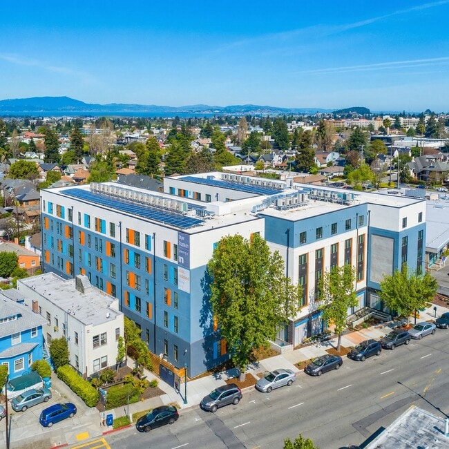 ArtHaus Telegraph - ArtHaus Telegraph Apartments