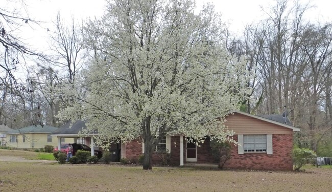 Building Photo - 55 Beech Hills