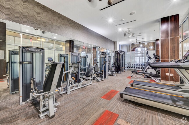 Gimnasio - The Rice