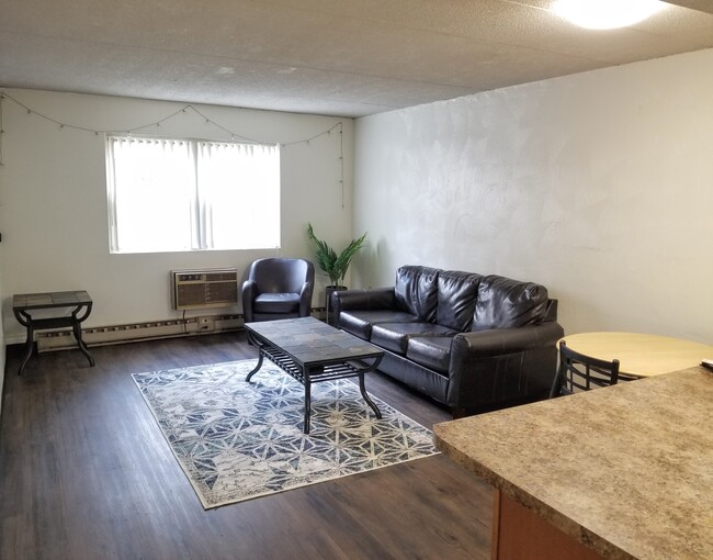 Newly Renovated Living Room! - 222 W Beaver Ave