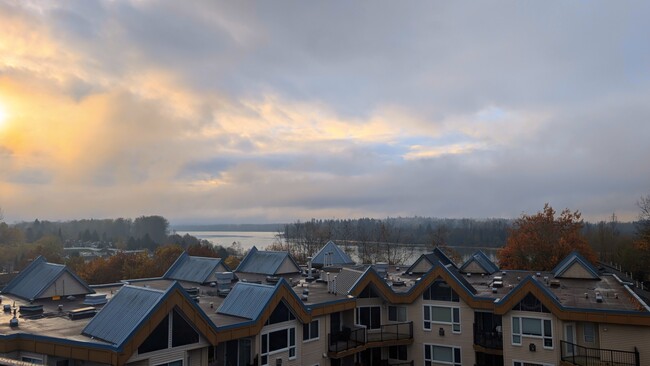 Views from unit (Fraser River, Mount Baker) - 11655 Fraser St