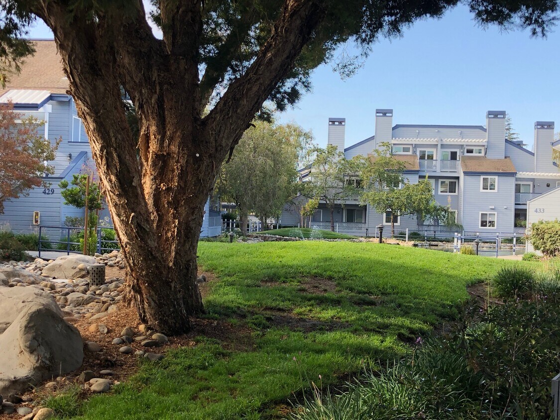 437 Cork Harbour Cir Unit A, Redwood City, CA 94065 Condo for Rent in