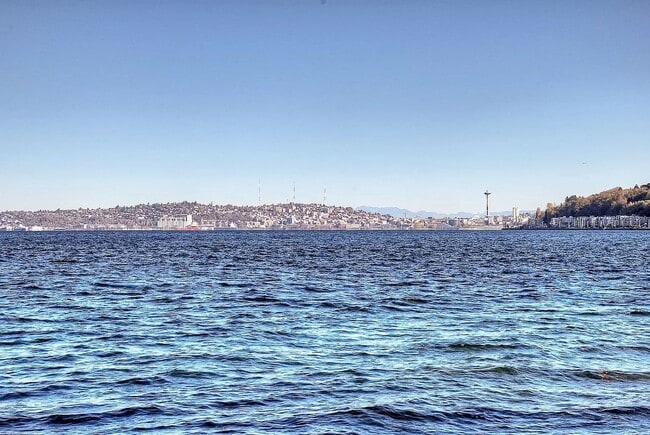 Building Photo - Location, Location, Location! - Modern one bedroom near Alki Point Lighthouse