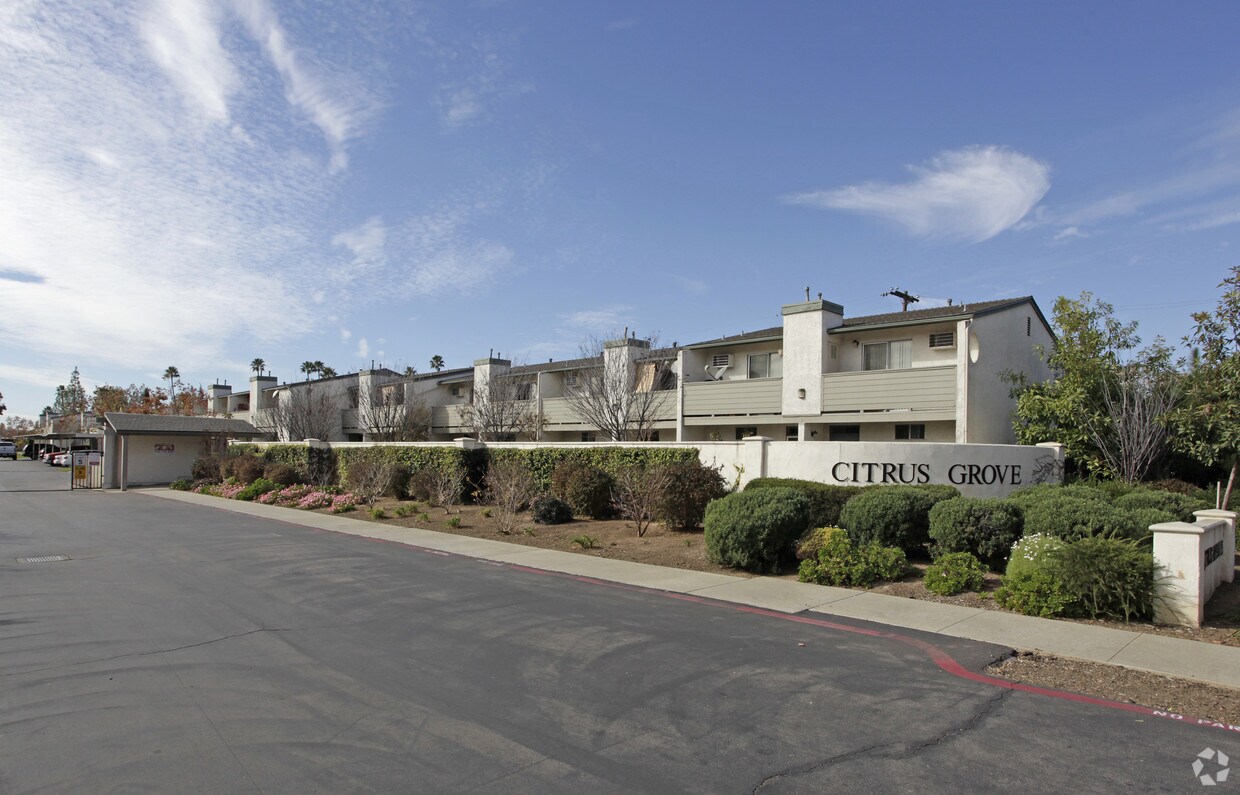 Foto principal - Citrus Grove Apartments