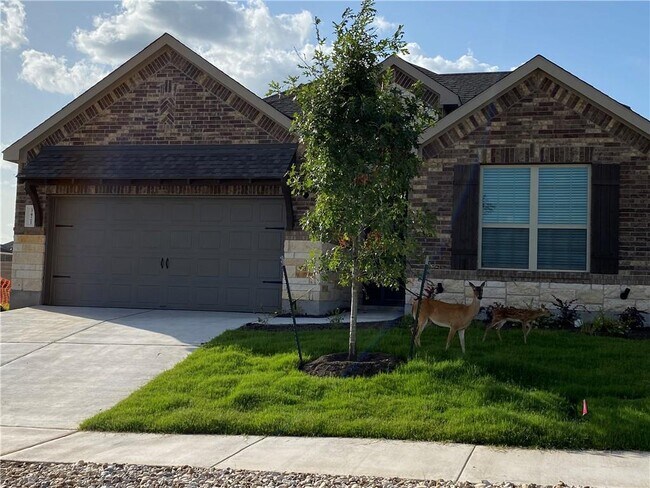 Building Photo - 3421 Charade Dr