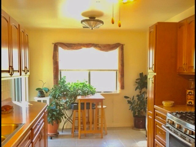Foto del edificio - 481 Thornhill Ln