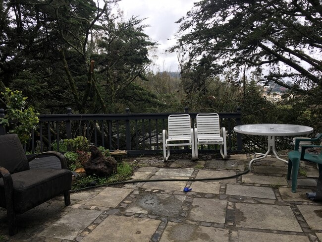 Backyard with picnic table - 409 Dellbrook Ave