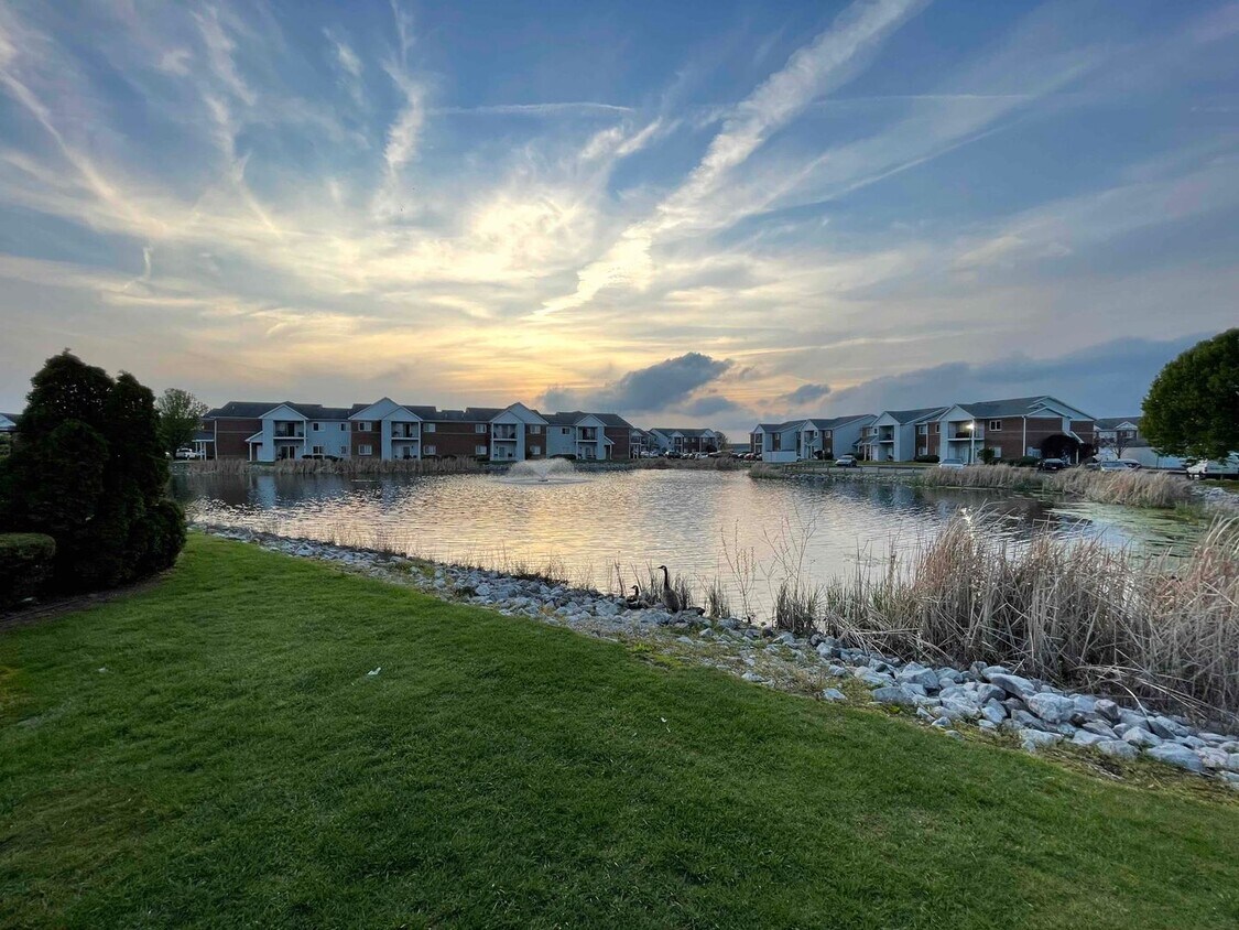 Foto principal - **MOVE IN BY 6/1**2 bedroom 2 bath $1150/m...