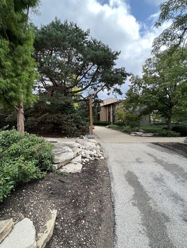 6113 Knoll Wood Rd Unit 206, Willowbrook, IL 60527 Condo for Rent in