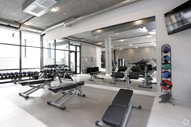 Gimnasio - Alchemy
