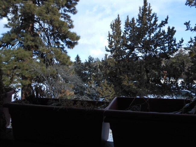 Building Photo - 1244 NE 4th St