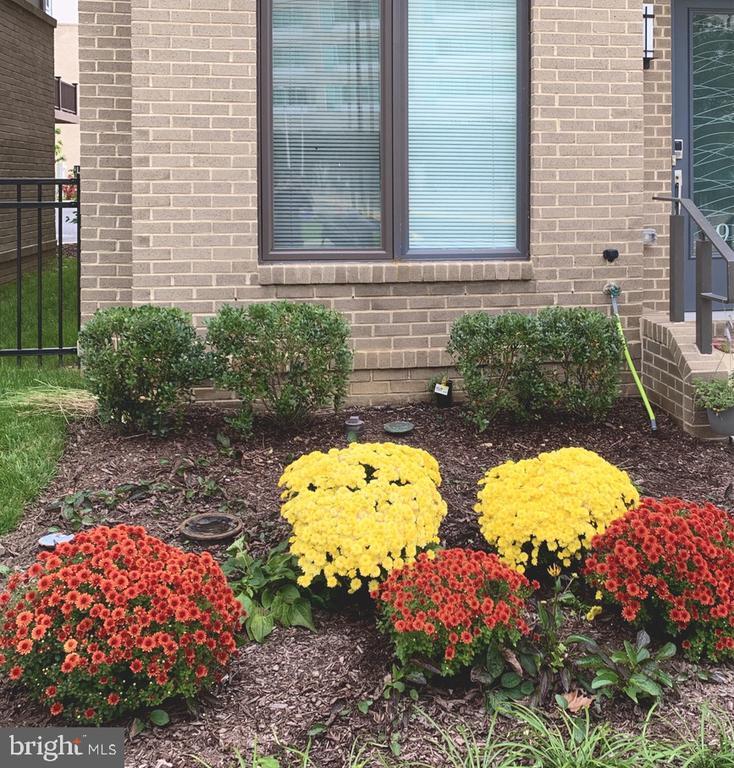 Foto principal - 6910 Rockledge Dr
