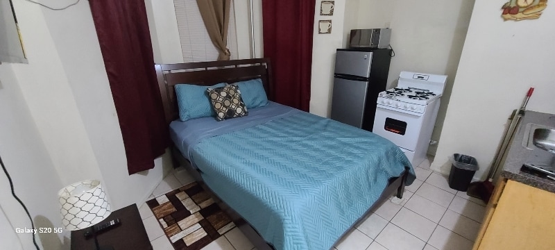 Photo - 524 Timpson Pl (The Bronx, NY)