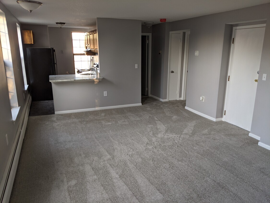 Living Room - 101 Huyshope Ave