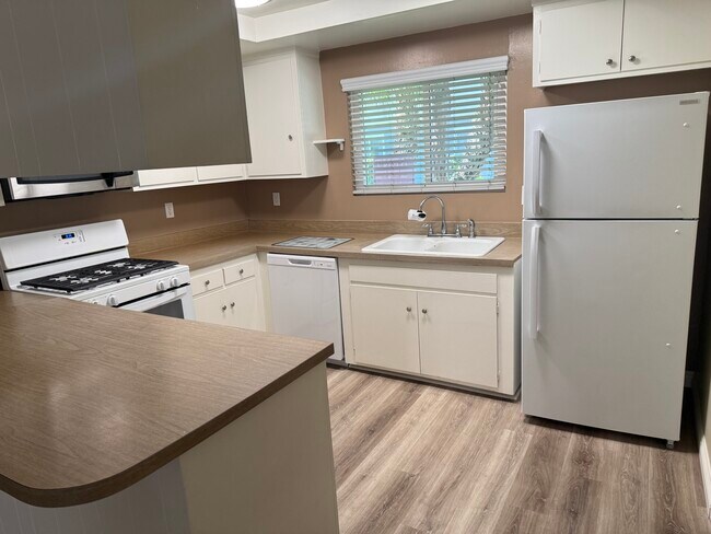 Cocina completa con lavavajillas y refrigerador nuevos. - 1441 Prospect Ave