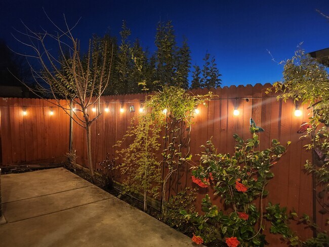 Building Photo - 2516 Huckleberry Cir