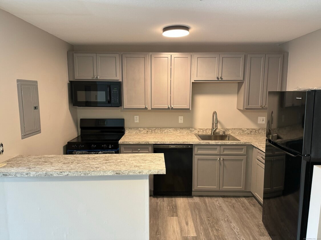 114 Balance Rock Rd Unit APT 11, Seymour, CT 06483 Condo for Rent in