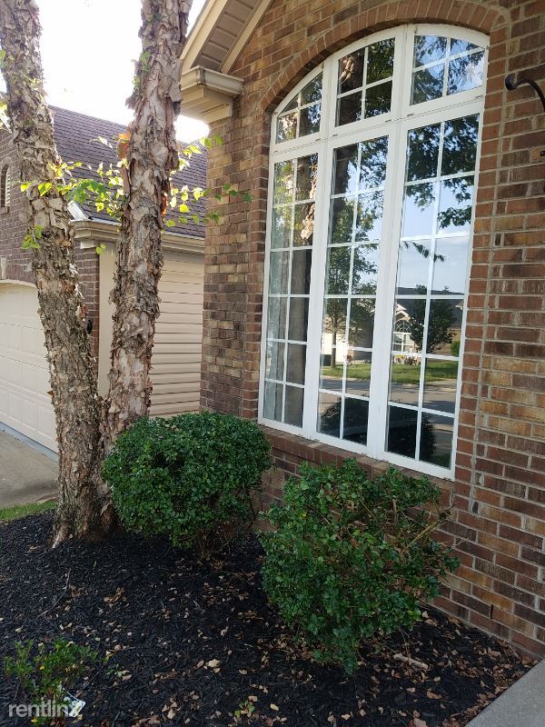 Primary Photo - 3 br, 2 bath House - 157 White Oak Trce