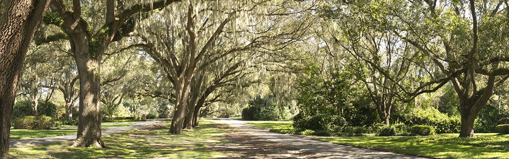 Ocala