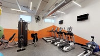 Located at 350 Mount Vernon Ave in Columbus, Ohio, this fitness center offers a well-equipped workout space designed for both cardio and strength training. The room features a bold two-tone color scheme, with vibrant orange accent walls complemented by crisp white upper walls, creating an energetic and motivating atmosphere. Exposed ductwork running along the ceiling adds an industrial character to the space, while linear LED lighting ensures bright, even illumination throughout. The flooring consists of durable rubber gym matting, providing both safety and comfort during workouts. Cardio equipment includes a lineup of treadmills and elliptical trainers from True Fitness, arranged in an organized row for easy access. A multi-use strength training and cable machine is positioned along the side wall, offering a variety of resistance-based exercises. A wall-mounted flat-screen television provides entertainment, while a large industrial fan supports ventilation and airflow. Natural light filters in through a row of windows positioned near the ceiling, adding brightness to the space. This single-floor facility is thoughtfully arranged to maximize usability, making it a functional and inviting environment for daily fitness routines.