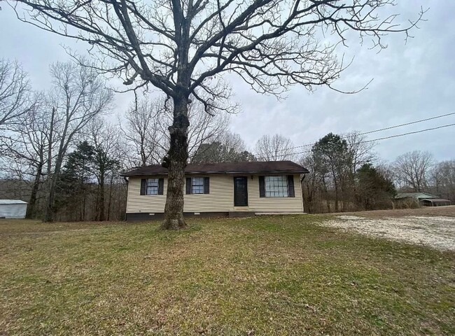 Building Photo - 3 BR / 1 Bath in Big Sandy, TN w/ natural ...