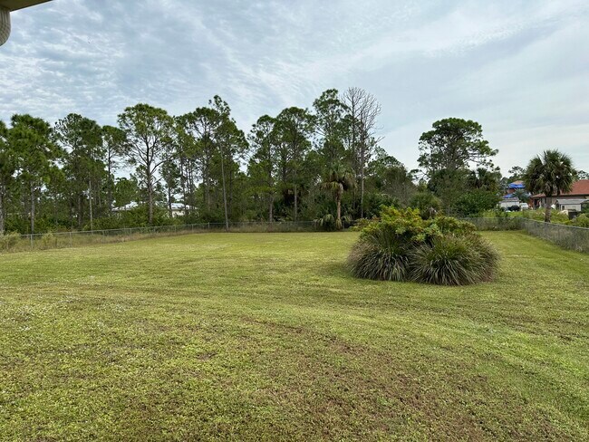 Large back yard - 918 Lee Ave