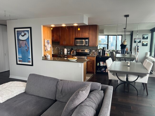Foto del edificio - 1560 N Sandburg Terrace