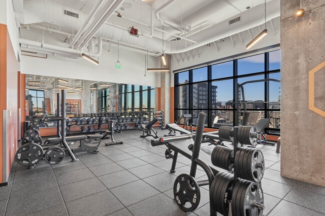 Velaris-Living-Denver-Apartments-Amenities-Barbell-Weightlifting-Gym-min - Velaris Living