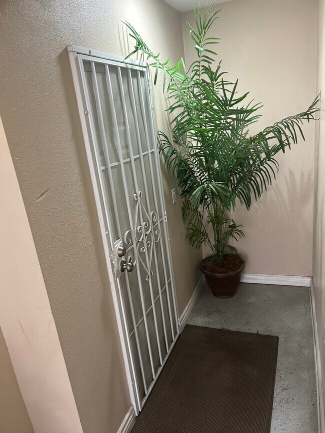 Foto del edificio - 521 Island Breeze Ln