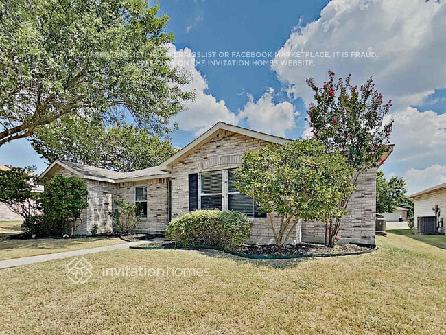 Building Photo - 1675 Wildrose Dr