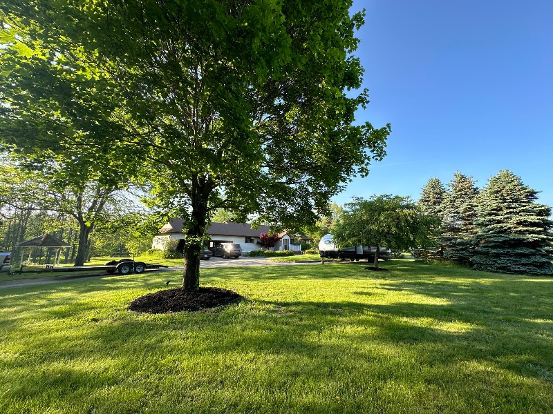 Photo - 10091 Barnes Rd (Eaton Rapids, MI)