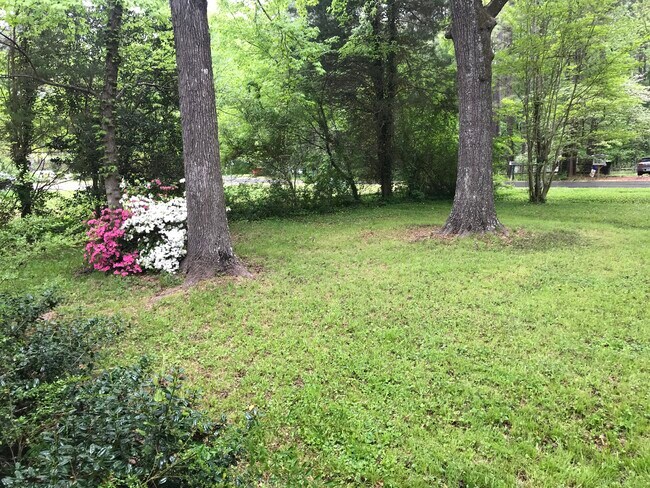 Building Photo - 5511 Ponderosa Dr