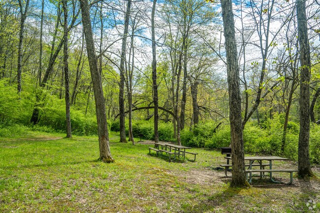 Picnic tables in Stephens State Park in Hackettstown