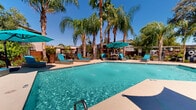 Located at 4171 E 24th St in Tucson, Arizona, this single-level outdoor space centers around a generously sized swimming pool with crystal-clear, blue-green water. The pool area is thoughtfully designed for relaxation and recreation, offering ample deck space surrounding the water's edge. Teal-cushioned lounge chairs and rattan-style chaise lounges are arranged along the pool deck, complemented by large teal shade umbrellas that provide relief from the Arizona sun. The atmosphere is defined by a striking canopy of tall, mature palm trees that frame the space, lending a resort-like ambiance characteristic of the Sonoran Desert region. Potted plants and greenery are integrated throughout the deck, adding texture and color to the hardscape. A low-profile stucco building borders one side of the pool area, featuring large windows and direct access to the outdoor space, with additional seating and dining furniture positioned nearby. A decorative water feature adds a lively element to the pool's surface. The overall setting combines the warmth of a desert climate with a lush, tropical aesthetic, creating an inviting and vibrant outdoor retreat well-suited to the sunny Tucson environment.