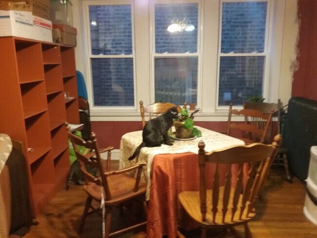 Separate Dining - 1502 N Springfield Ave